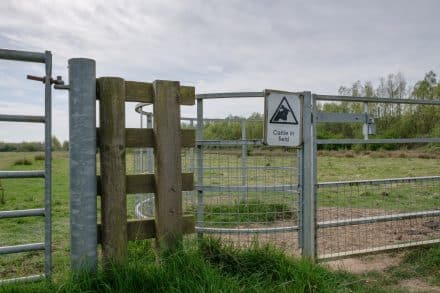 Footpath warning of cattle