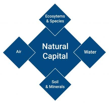 natural-capital